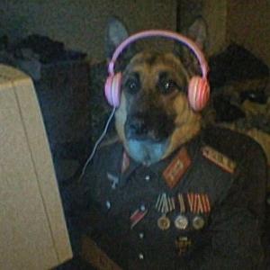 Адмирал швепс