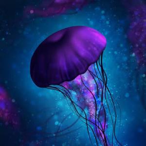 meduzaaa